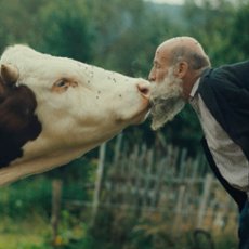 Ruszamy na poszukiwania! Hasło i zwiastun 23. MDAG