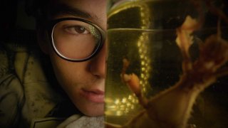 W poszukiwaniu wielkiego kina. Konkurs Gł&oacute;wny 23. MDAG