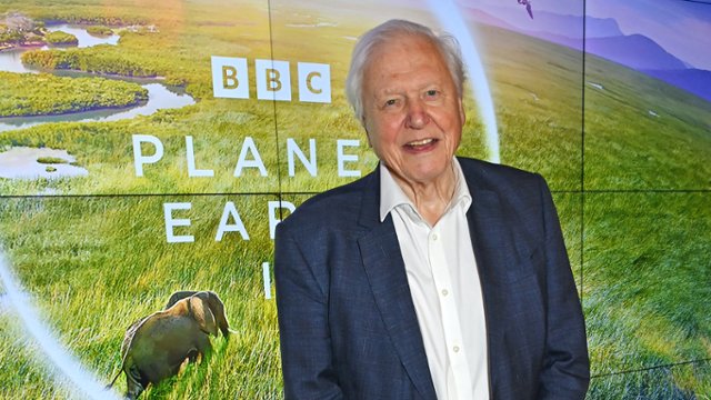Tak świat świętuje 100 lat Davida Attenborough