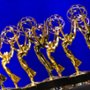 Nagrody Emmy znikają z telewizji. Prawa do transmisji przejmuje Amazon