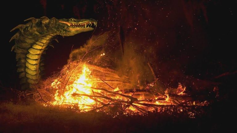 FOTO: CobraGator atakuje!