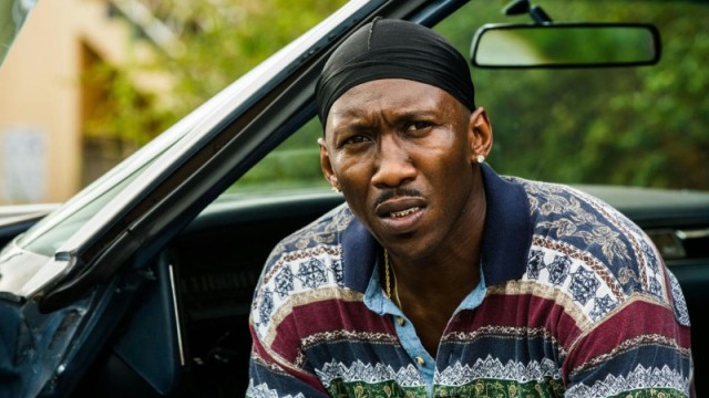 Gwiazda "Moonlight" zinflitruje grupę przestępczą