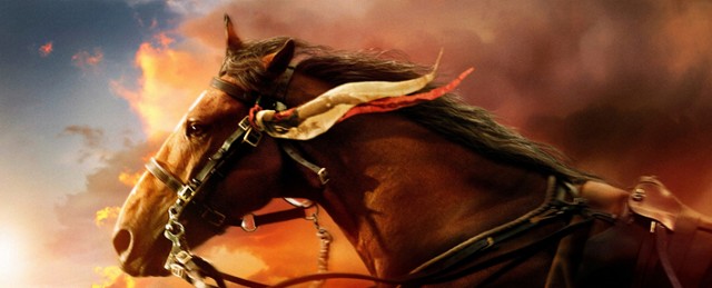 Najlepsze filmy o koniach. Top 15 filmów, które warto zobaczyć