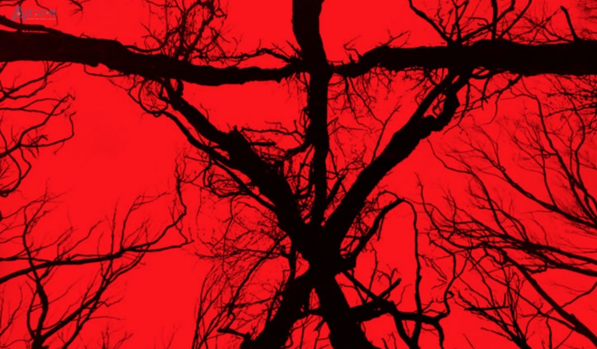 Nowe "Blair Witch Project" się nie uda? Twórcy oryginału mówią czemu