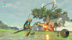 The-Legend-of-Zelda-Breath-of-the-Wild_2016_06-14-16_007.jpg