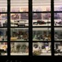 IMG_1614.jpeg
