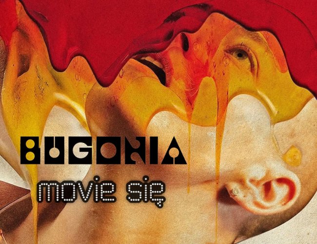"Bugonia": Lanthimos i Stone znowu razem (RECENZJA)