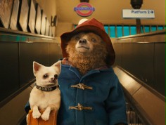 Paddington wr&oacute;ci z tym samym reżyserem