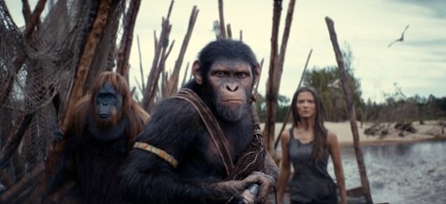 MOVIE SIĘ: Małpy rządzą? Recenzujemy "Królestwo Planety Małp"
