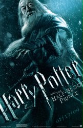 harrypotter6_3.jpg