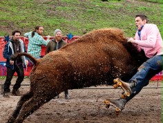 Trzy szalone plakaty "Jackass 3-D"