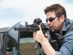 Sequel "Sicario" w drodze