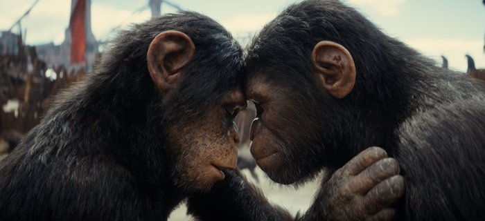 Najlepsze filmowe małpy