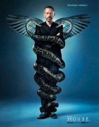 house-caduceus_l.jpg