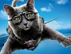 Psy i Koty 2, Shrek Forever, Zaćmienie, Iron Man 2 - nowe plakaty