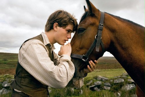 WIDEO: Chłopak, koń i wojna w zwiastunie nowego filmu Spielberga