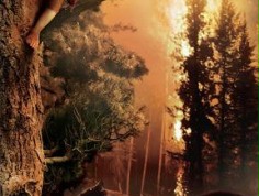 FOTO: Długaśne plakaty i nowa fotka z "Hobbita"