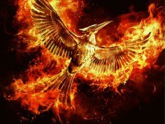 Box Office USA: Katniss zwycięska, lecz nie dominująca