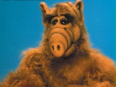 ALF powr&oacute;ci do telewizji?