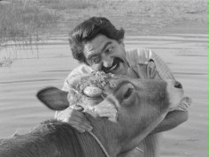 Bliski Daleki Wsch&oacute;d. Kino islamskie na Tofifest