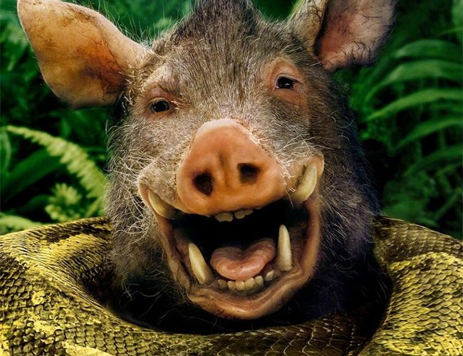 Meta-remake "Anakondy" z nowym szalonym zwiastunem