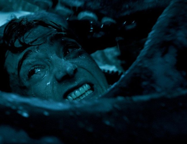 Wieloryb połknął człowieka. Zwiastun filmu "Whalefall"