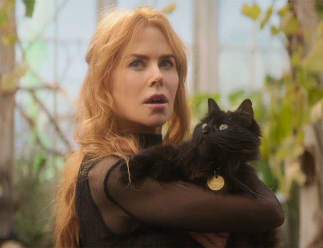 Bullock i Kidman czarują! Zwiastun filmu