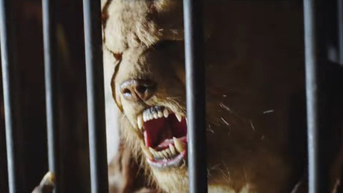 Gotowi na film "Puchatek: Krew i mi&oacute;d 3"? Mamy zwiastun