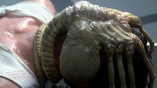 Scott mówi o "Alien: Paradise Lost" 