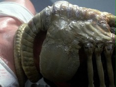 Scott m&oacute;wi o "Alien: Paradise Lost" 