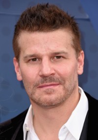 David Boreanaz