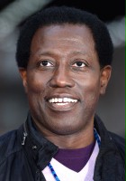 Wesley Snipes / Will Sinclair