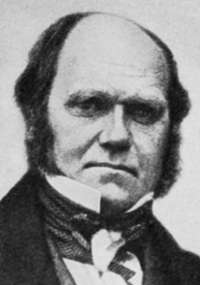 Charles Darwin I