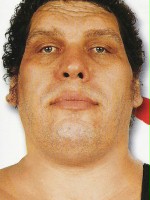 André the Giant / Fezzik