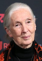 Jane Goodall / 