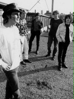 Men Without Hats