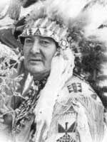 Chief Many Treaties / Indianin