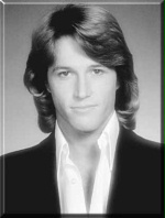 Andy Gibb / 