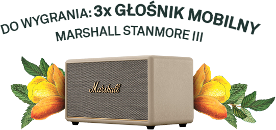 Marshall Stanmore III