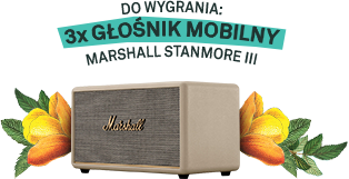 Marshall Stanmore III