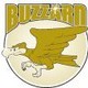 Buzzard
