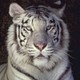 marcin027o2_pl
