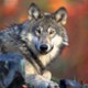 spirit_1317