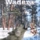 Wadera
