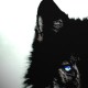 wilq69
