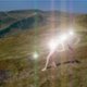 brightveins