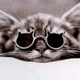 mallory_5