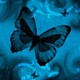 SomeONE_8