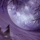 Purple_Moon