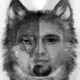 Bonhart